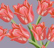 floral seamless background
