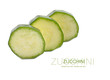 Single Courgette or zucchini. Isolated on white background. Single Courgette or zucchini. Isolated on white background.