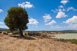Foto: Northern Tunisia, landscape Northern Tunisia, landscape