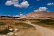 Landscape around Bulla Regia, Tunisia
