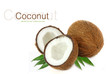 Coconut isolated on white background Coconut isolated on white background