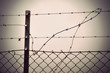 barbed wire and chain link fence
