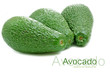 Avocado Avocado