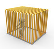Prisoner in golden jail