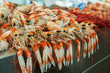 langoustines at fish market langoustines at fish market