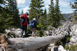 Foto: two mountaineers and the old tree trunk two mountaineers and the old tree trunk