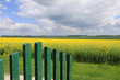 Ein Rapsfeld vor der Gartentür Ein Rapsfeld vor der Gartentür