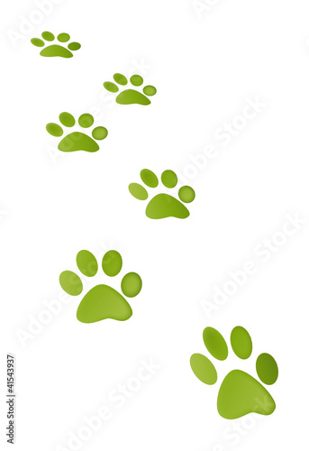 Illustration: Wild Life Wild Life