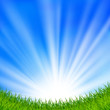 Summer background