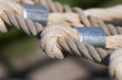 Netzverbindung Netzverbindung