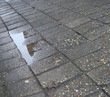 street view of square tile concrete pavement on a rainy day street view of square tile concrete pavement on a rainy day