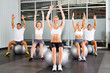 group of fitness people exercise on gymnastic balls in a gym