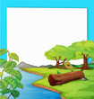 Forest scene
