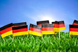 Fussballfest