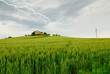 lightning over field grain on the hill lightning over field grain on the hill