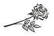 rose 15a