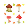 Mushrooms icons isolated on white