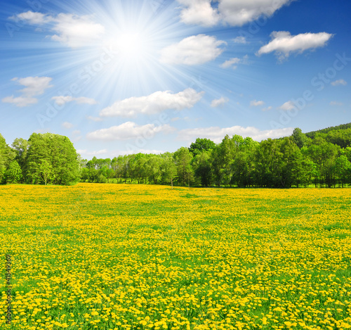 Photo: Spring landscape in the national park Sumava - Czech Republic Spring landscape in the national park Sumava - Czech Republic