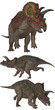 Triceratops