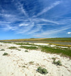 Scorcio dello stagno di Portu Suedda, in Sardegna