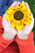 young woman hands with flowers outdoor