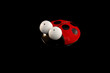 Coccinella su fondo nero