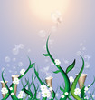 field of fairy field of fairy