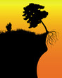 tree on a cliff