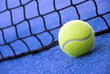 Foto: a paddle/tennis ball a paddle/tennis ball