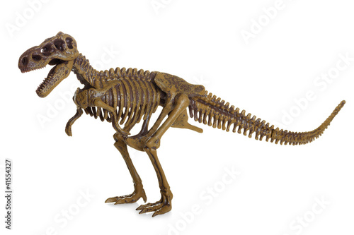Photo: Tyrannosaurus Rex Skeleton Tyrannosaurus Rex Skeleton