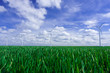 Green energy