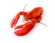 Photo: Isolated lobster on white Isolated lobster on white