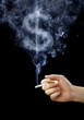 Smoking is Expensive