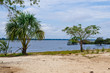 Rio Negro