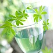 Waldmeister