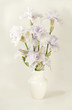 Bouquet of irises