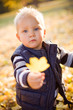 Photo: Cute young boy outdoors in nature. Cute young boy outdoors in nature.