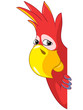 Funny Parrot