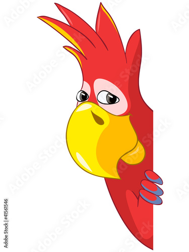 Vector: Funny Parrot Funny Parrot