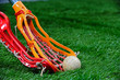 Photo: Girls Lacrosse sticks fight for the ball Girls Lacrosse sticks fight for the ball