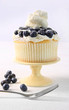 Summer dessert with blueberries and whip cream Summer dessert with blueberries and whip cream