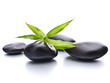 Zen pebbles. Stone spa and healthcare concept.