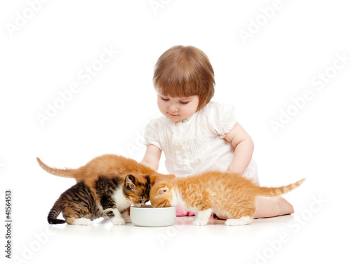 Photo: kid feeding cats with milk kid feeding cats with milk