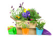 Lieferung frischer Blumen