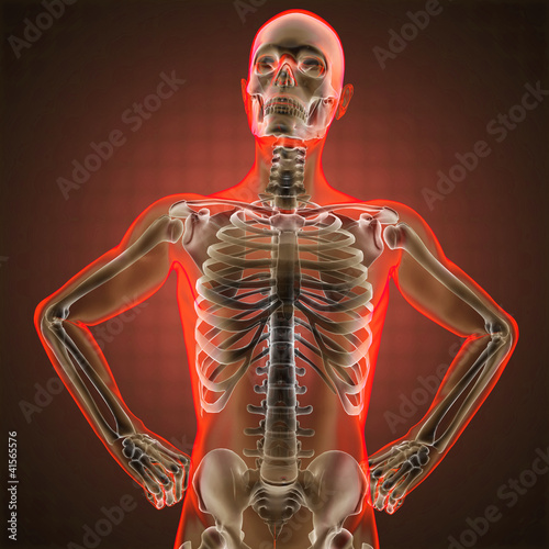 Illustration: human radiography scan human radiography scan