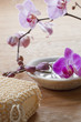 home day spa