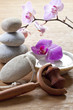 concept of pampering