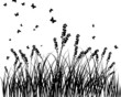 Vektor: meadow silhouette meadow silhouette