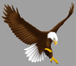 Adler im Anflug