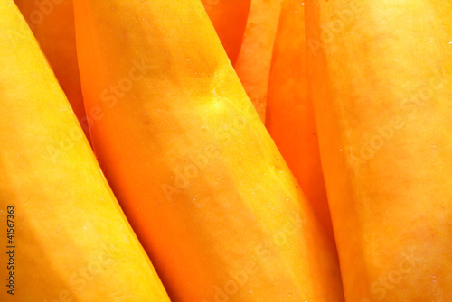Photo: yellow Squash yellow Squash